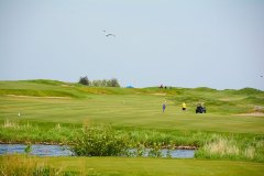 dsc_3436_18124313385_o