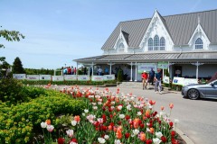 acc-golf-tournament-2017